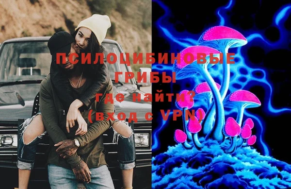 гидропоника Данков