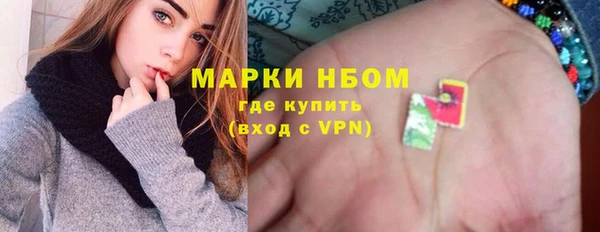 гашик Алексин