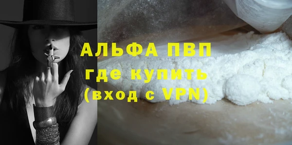 гашик Алексин