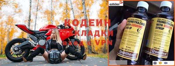 крисы Алзамай