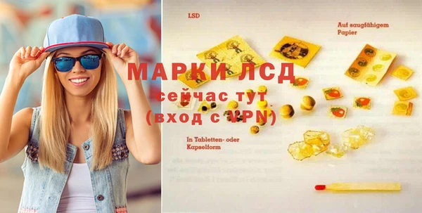крисы Алзамай
