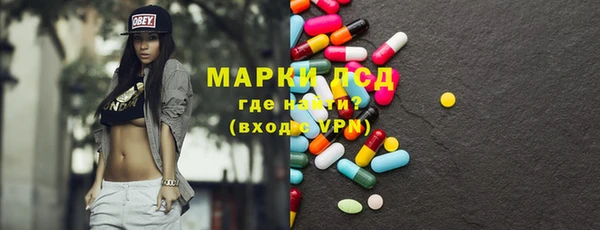 гашик Алексин