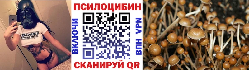 Галлюциногенные грибы мицелий Конаково